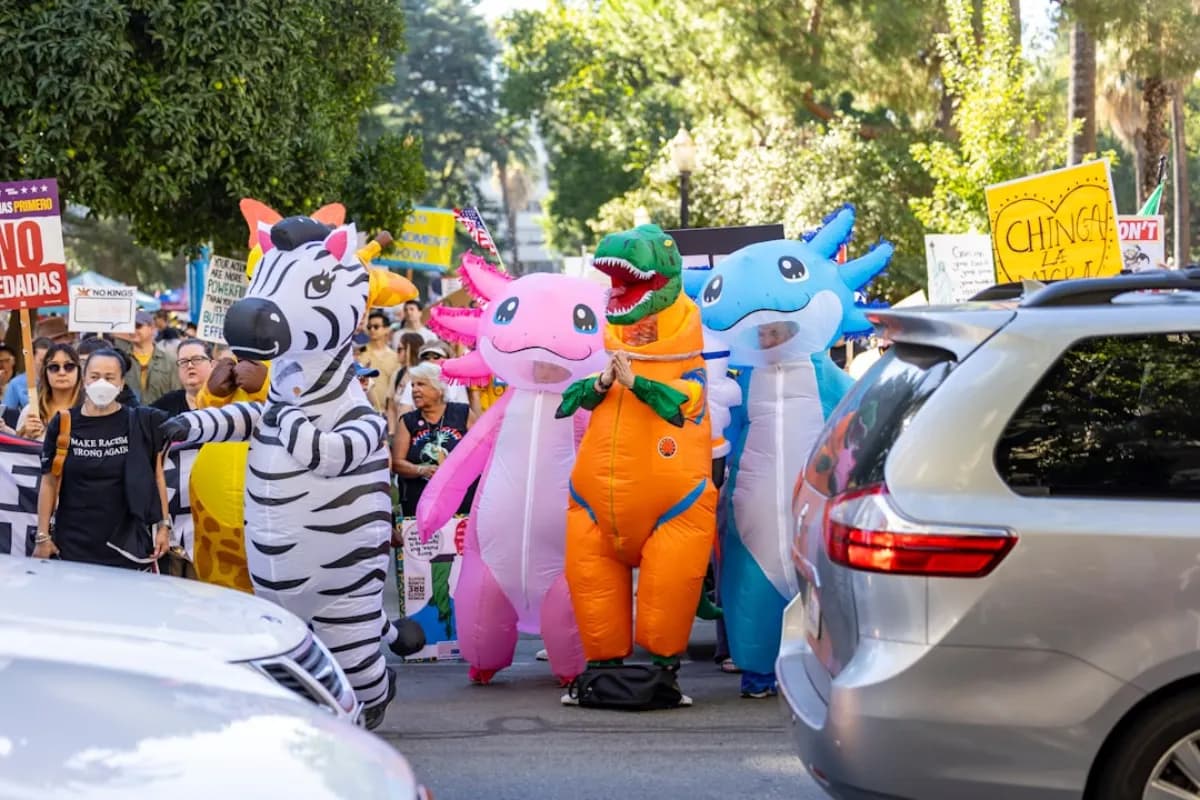 Dragon Anywhere App Review 2026: Price & Alternatives