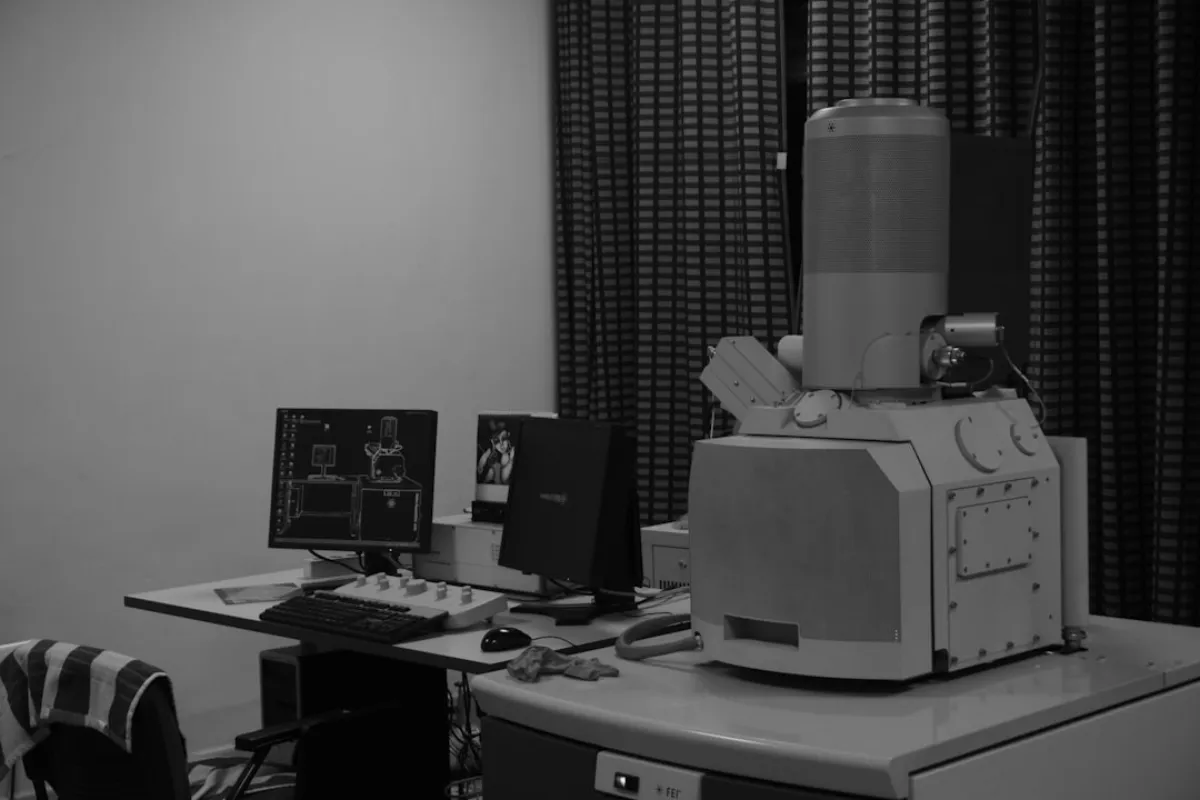 Why Radiologists Search for Free Downloads (And What They Actually Find)